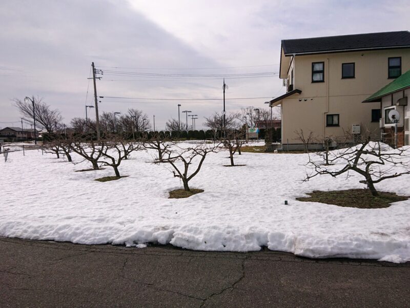 新潟市西区みずき野4丁目413番12・413番13